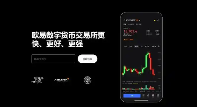 OKPay钱包安卓版下载页面展示